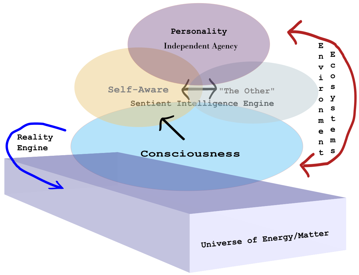 Consciousness and the Universe